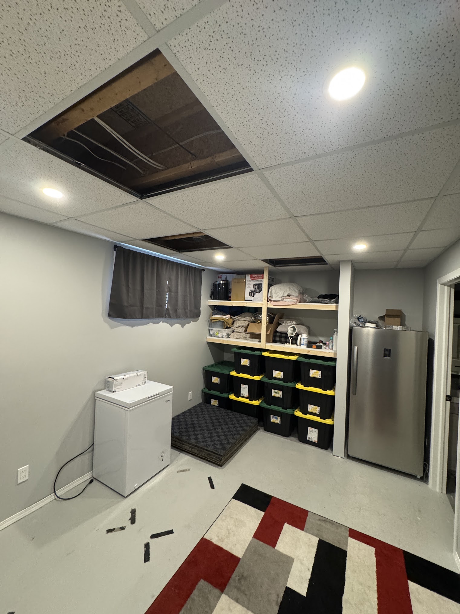 Basement Potlight.jpg