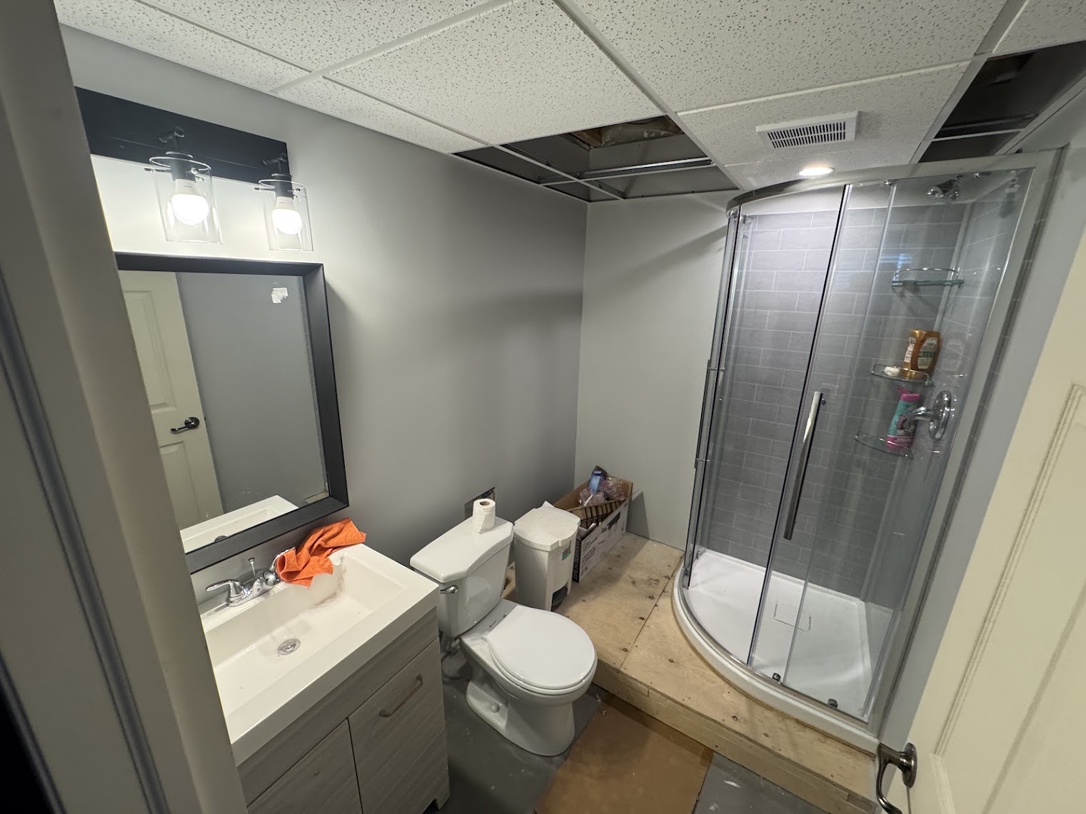 Basement Bathroom.jpg